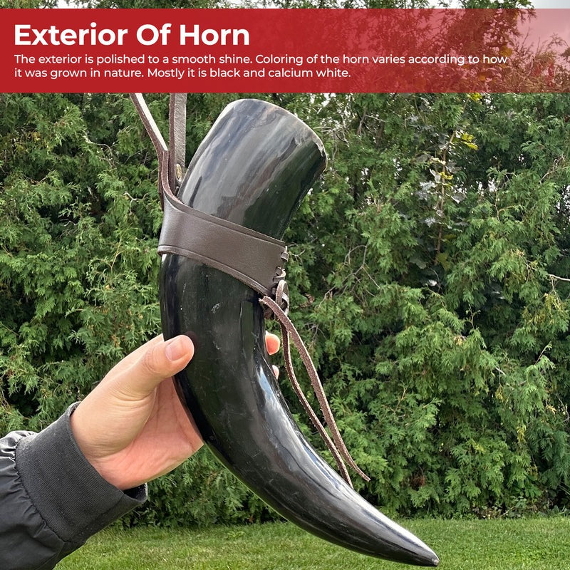 Medieval Norwegian Viking Drinking Horn: 24oz Authentic Natural Buffalo Horn