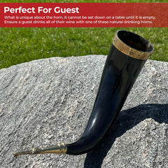 Navigator's Serpent Viking Compass Horn